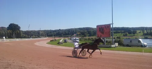 Hippisme : Nos préférés pour ce samedi 25 mai