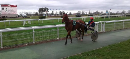 Hippisme : Nos préférés pour ce dimanche 26 mai