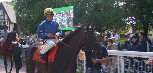 Hippisme : Nos préférés pour ce samedi 22 juin