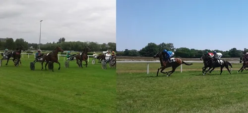 Hippisme : Nos préférés pour ce dimanche 30 juin