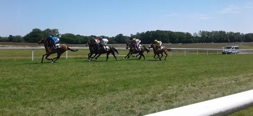 Hippisme : Nos préférés pour ce dimanche 14 juillet
