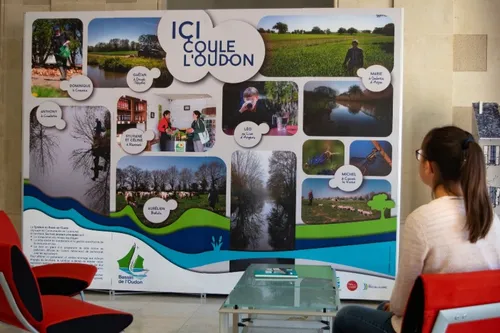 Bassin de l'Oudon : la qualité de l'eau s'améliore