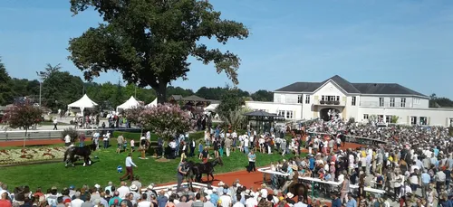 Hippisme : Nos préférés pour ce dimanche 22 septembre