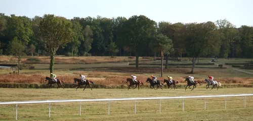 Hippisme : Nos préférés pour ce samedi 28 septembre