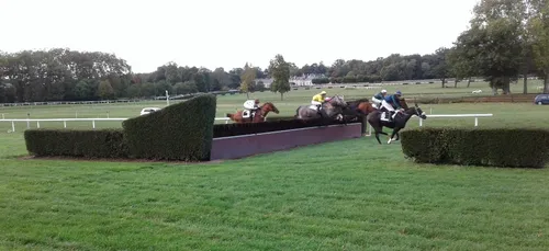 Hippisme : Nos préférés pour ce dimanche 13 octobre