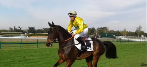 Hippisme : Nos préférés pour ce samedi 19 octobre