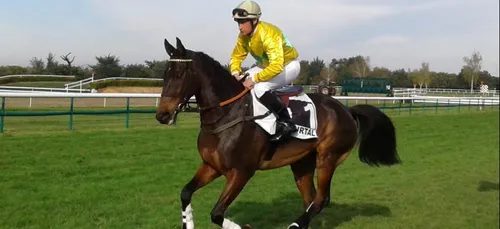 Hippisme : Nos préférés pour ce samedi 2 novembre