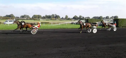 Hippisme : Nos préférés pour ce dimanche 3 novembre