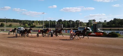 Hippisme : Nos préférés pour ce samedi 16 novembre