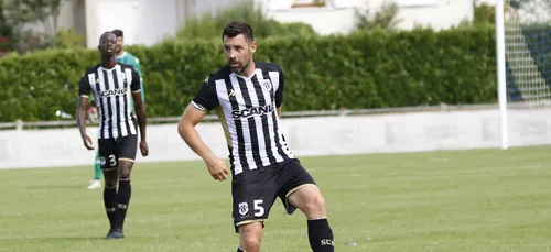 Le SCO, ce joli dauphin !