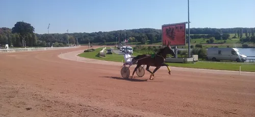 Hippisme : Nos préférés pour ce dimanche 8 decembre