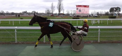 Hippisme : Nos préférés pour ce dimanche 15 decembre