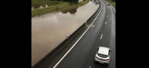 Pluies : des inondations à prévoir autour de l'Oudon et de la Mayenne
