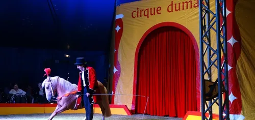 Cirque Dumas à Segré : Gagnez vos invitations !