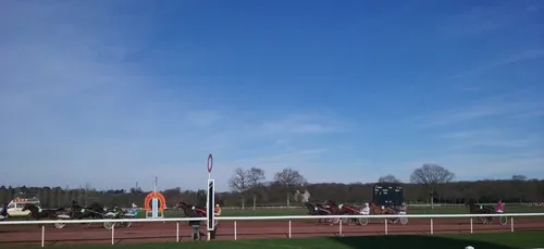 Hippisme : Nos préférés pour ce dimanche 19 janvier