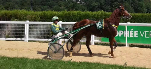Hippisme : Nos préférés pour ce samedi 25 janvier