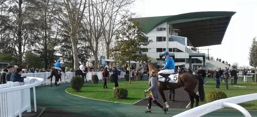 Hippisme : Nos préférés pour ce dimanche 2 février