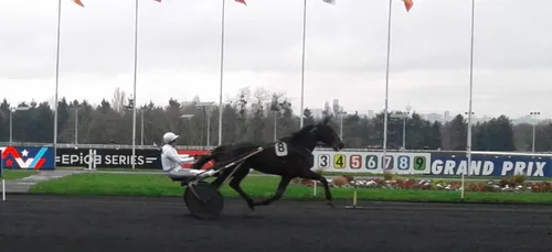 Hippisme : Nos préférés pour ce dimanche 9 février