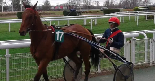 Hippisme : Nos préférés pour ce dimanche 16 février