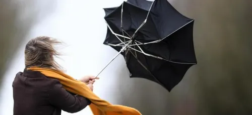 Tempête Dennis : 20 000 foyers sans alimentation électrique sur la...