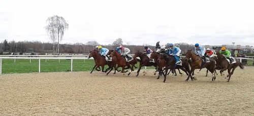 Hippisme : Nos préférés pour ce samedi 22 février