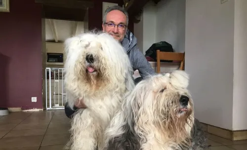 Saint Augustin des Bois. Ses chiens sont en compétition au Salon de...