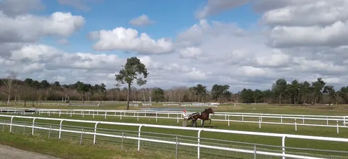 Hippisme : Nos préférés pour ce dimanche 1er mars