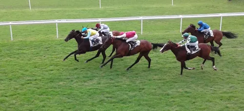 Hippisme : Nos préférés pour ce dimanche 15 mars