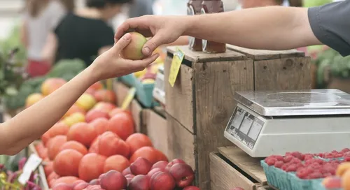 Château-Gontier. Le planning pour faire son marché