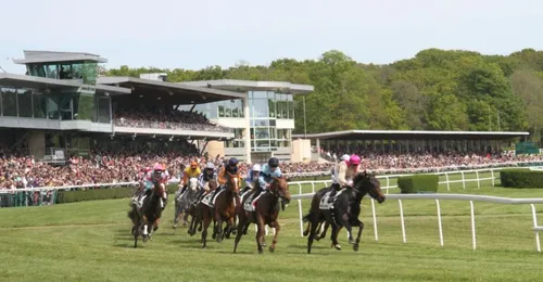Le Lion d'Angers. L'hippodrome envisage la reprise des courses mais...
