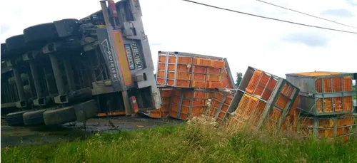 Châteauneuf-sur-Sarthe. Un transport de poulet renversé, le...