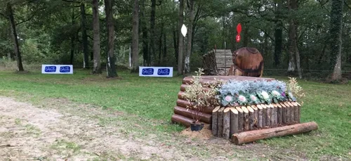 Le Lion d’Angers. Le Mondial du Lion maintenu