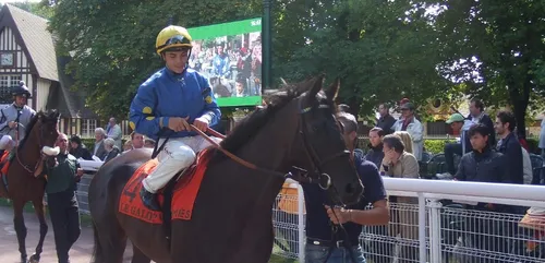 Hippisme : Nos préférés pour ce samedi 20 juin