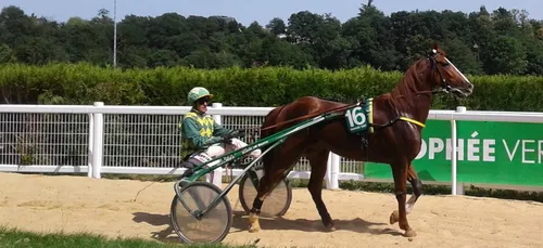Hippisme : Nos préférés pour ce dimanche 21 juin
