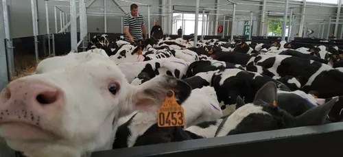 A Château-Gontier, la filière viande veut “juste de la reconnaissance”