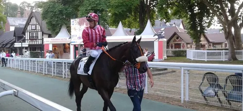 Hippisme : Nos préférés pour ce dimanche 28 juin