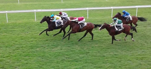 Hippisme : Nos préférés pour ce dimanche 5 juillet