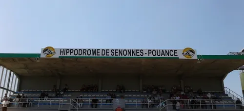 Hippisme : Nos préférés pour ce samedi 11 juillet