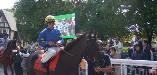 Hippisme : Nos préférés pour ce dimanche 12 juillet