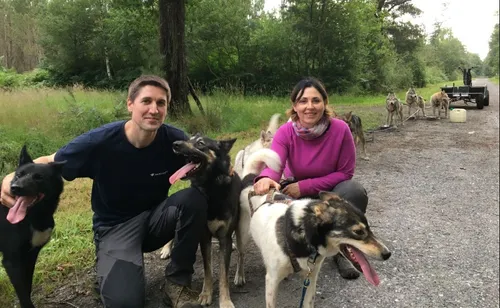 Segréen. Approcher les huskys en été, c'est possible !