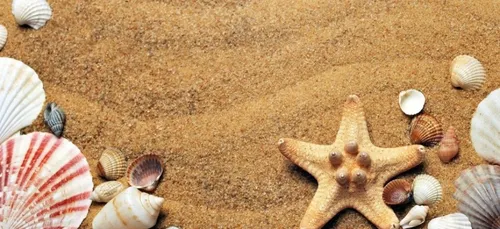 Départs en vacances : 3 conseils à lire pour partir en toute sécurité