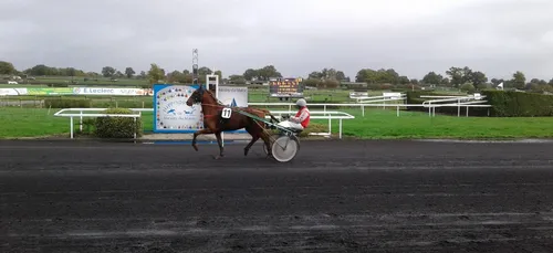 Hippisme : Nos préférés pour ce dimanche 27 septembre