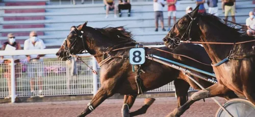 Hippo apéro et semi-nocturne ce vendredi à l'hippodrome de Laval