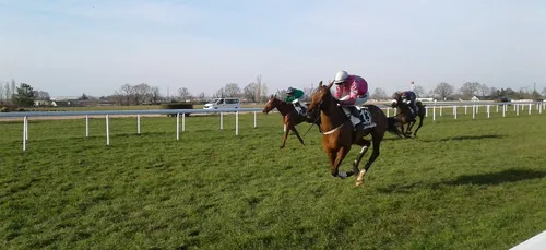 Hippisme : Nos préférés pour ce samedi 3 octobre