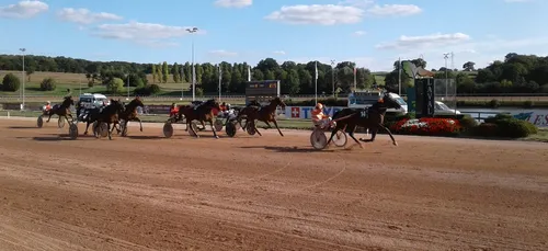 Hippisme : Nos préférés pour ce samedi 10 octobre