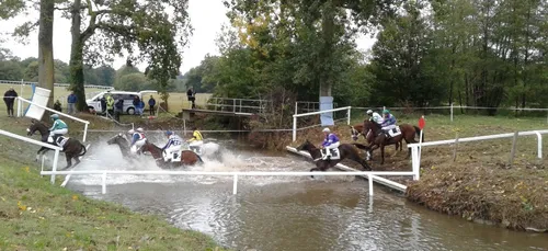 Hippisme : Nos préférés pour ce dimanche 11 octobre