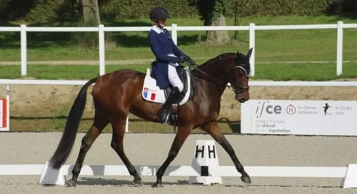 Le Mondial du Lion ouvre ses box ! 
