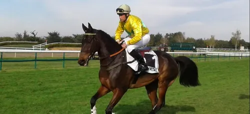 Hippisme : Nos préférés pour ce samedi 17 octobre