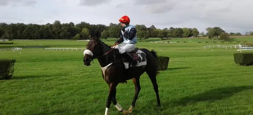 Hippisme : Nos préférés pour ce dimanche 18 octobre