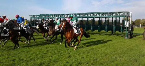 Hippisme : Nos préférés pour ce samedi 24 octobre